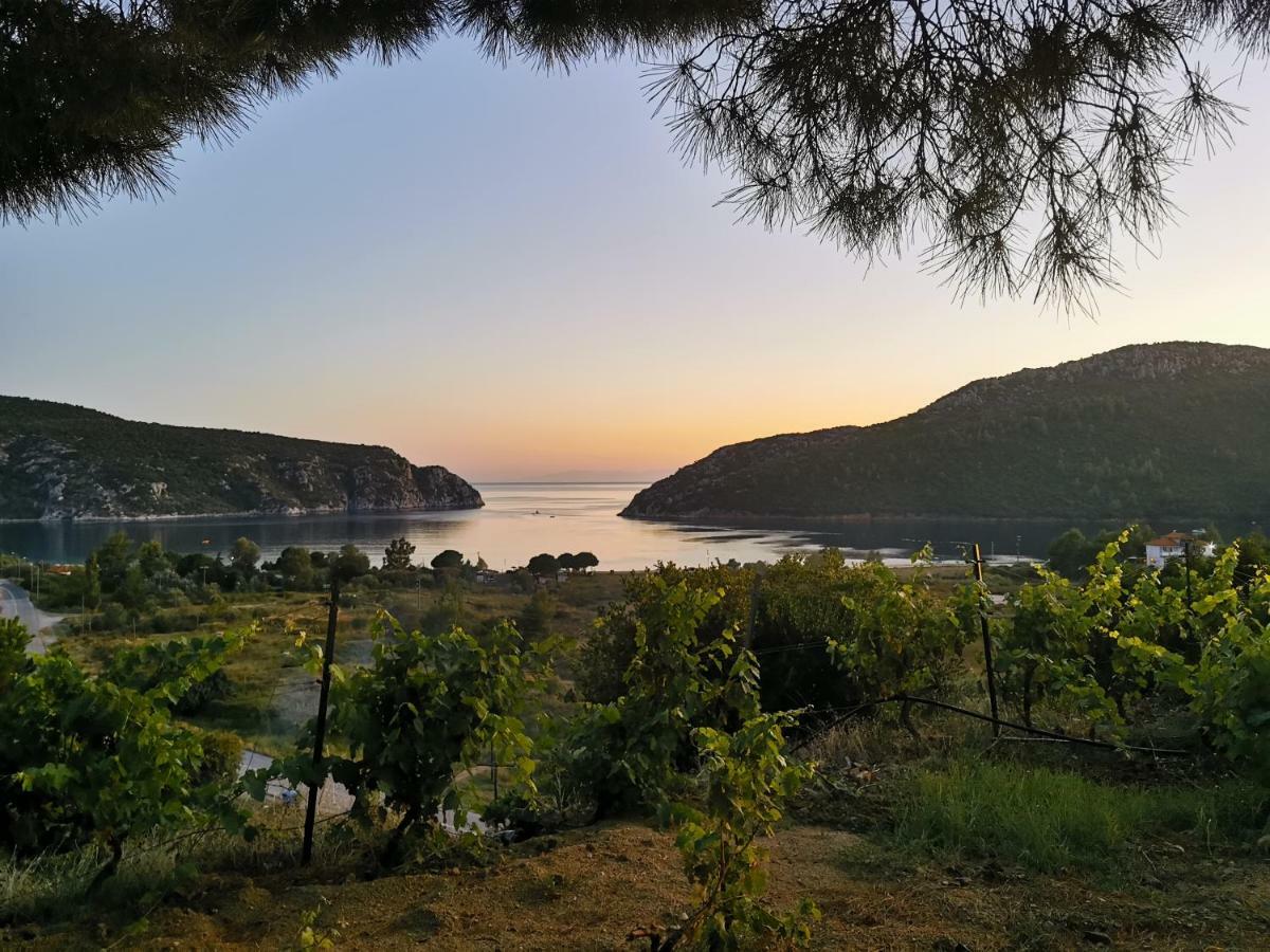Porto Koufo Resort Bungalows Luaran gambar