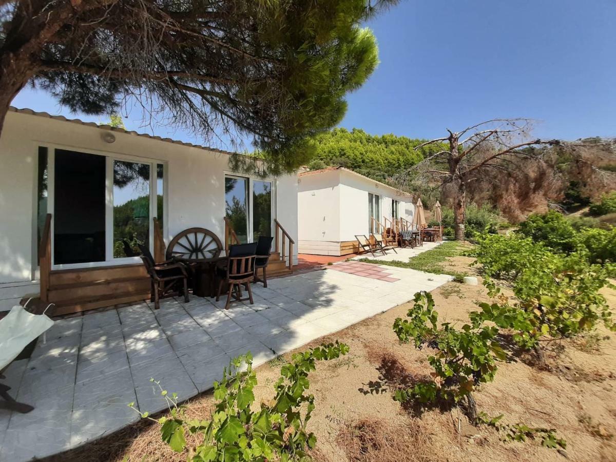 Porto Koufo Resort Bungalows Luaran gambar